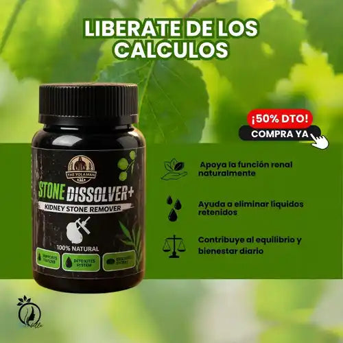 Cuida tus riñones y recupera tu energía natural