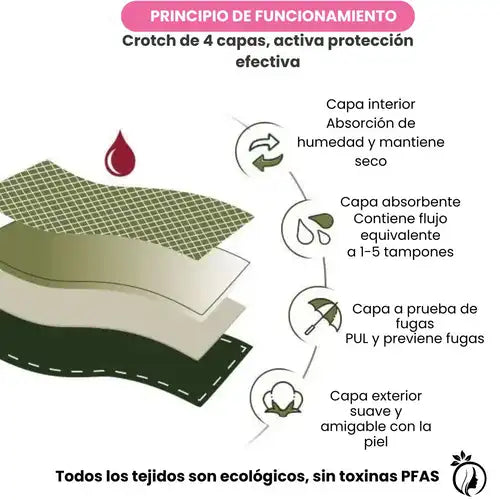 Encabezado