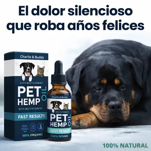 Encabezado