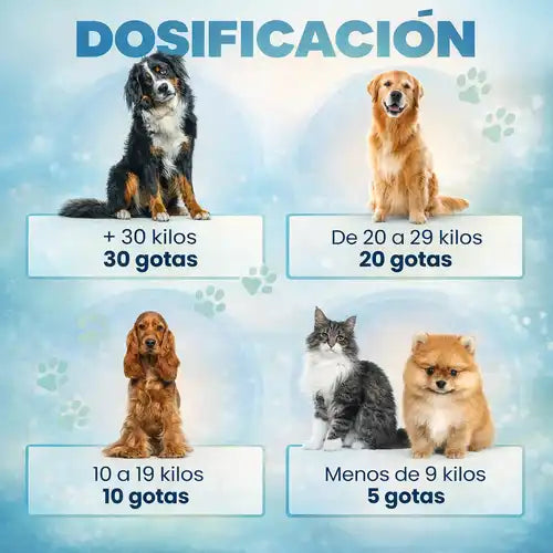 Pet Hemp Oil Omega – Apoyo Natural para la Movilidad y Vitalidad de tu Peludo