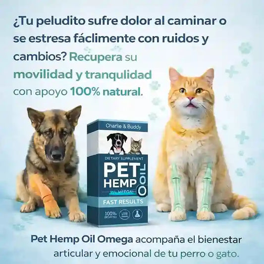Pet Hemp Oil Omega – Apoyo Natural para la Movilidad y Vitalidad de tu Peludo